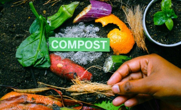 Do Not Ignore Recycling and Composting