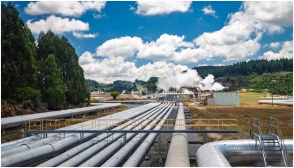 Which Hotels Actually Lead the Green Movement?