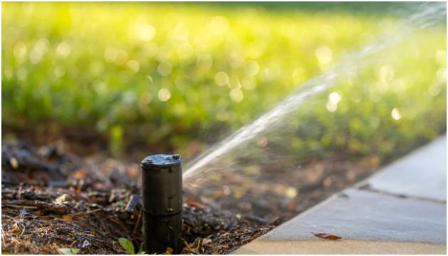 Are There Eco Hotels in Big Cities Too?