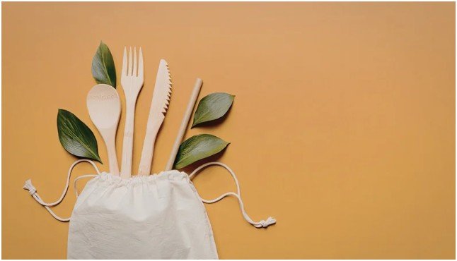 What Essentials Replace Single-Use Items While Traveling?