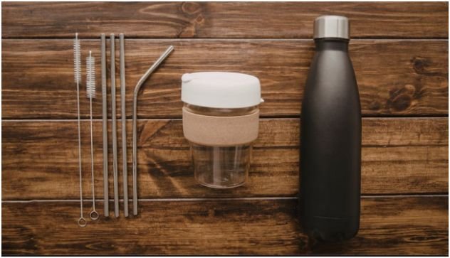 What Travel Habits Reduce Your Environmental Impact the Most?