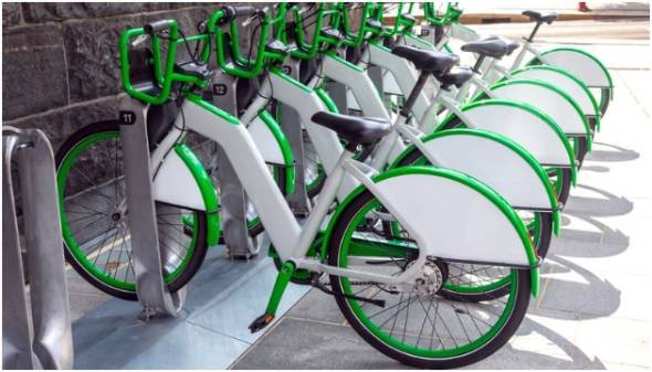 Daily Life Feels Naturally Sustainable