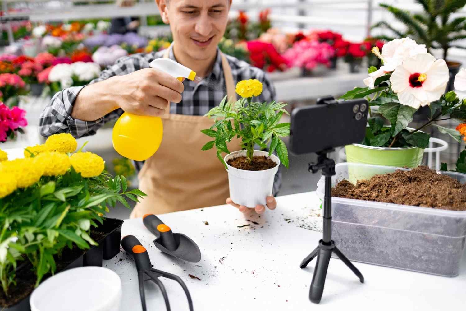 How Long Does It Take to See Results in Organic Gardening?