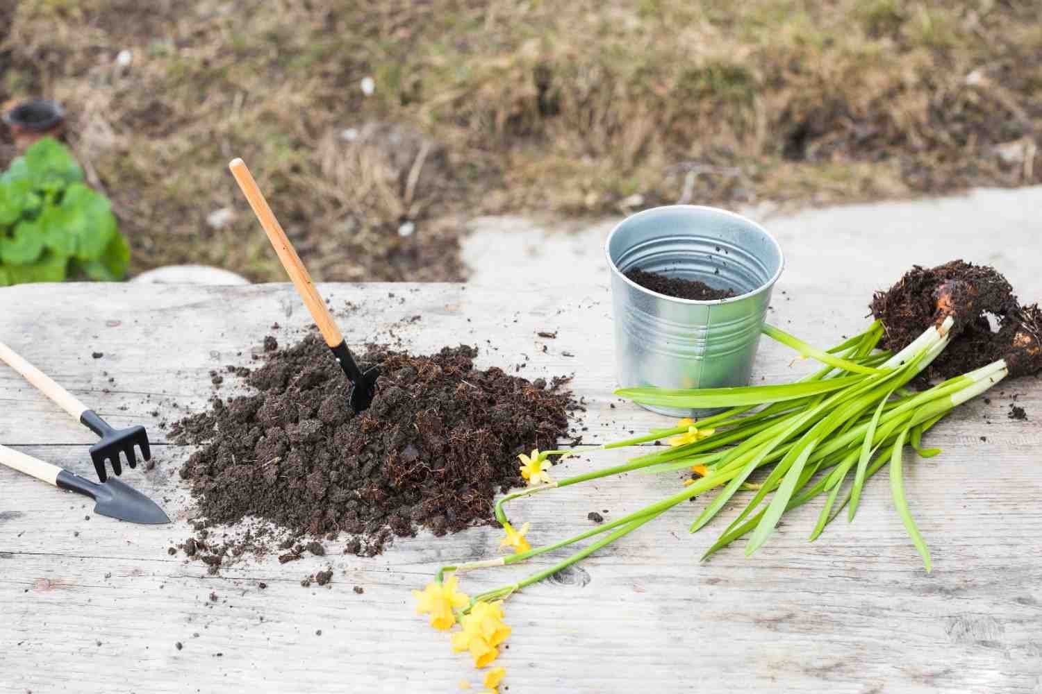 What Most People Get Wrong About Natural Fertilizers