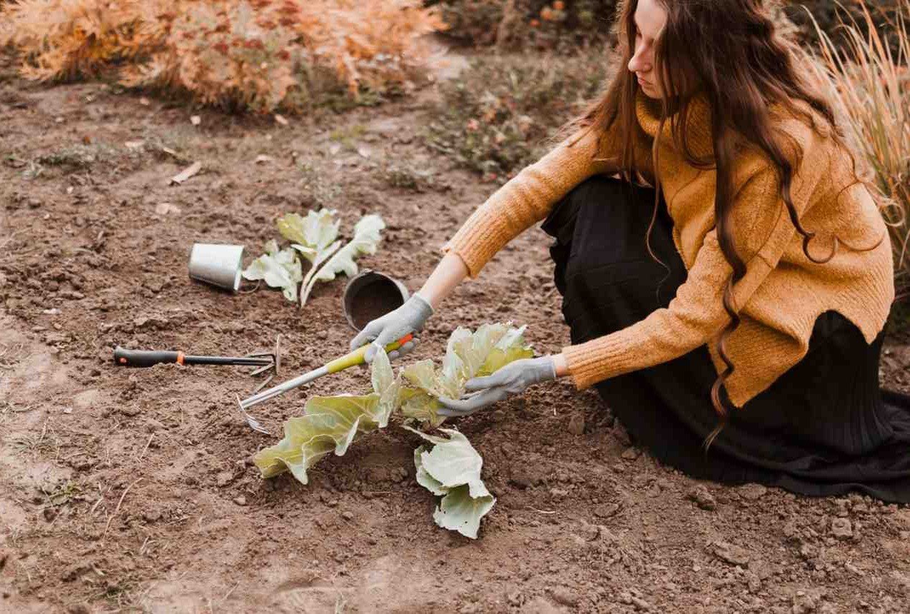 What Most People Get Wrong About Weed Control