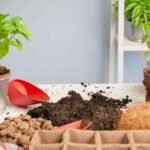Soil Types for Gardening