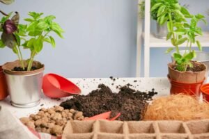 Soil Types for Gardening