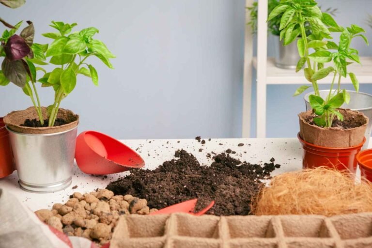 Soil Types for Gardening