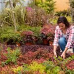 Organic Gardening for Beginners
