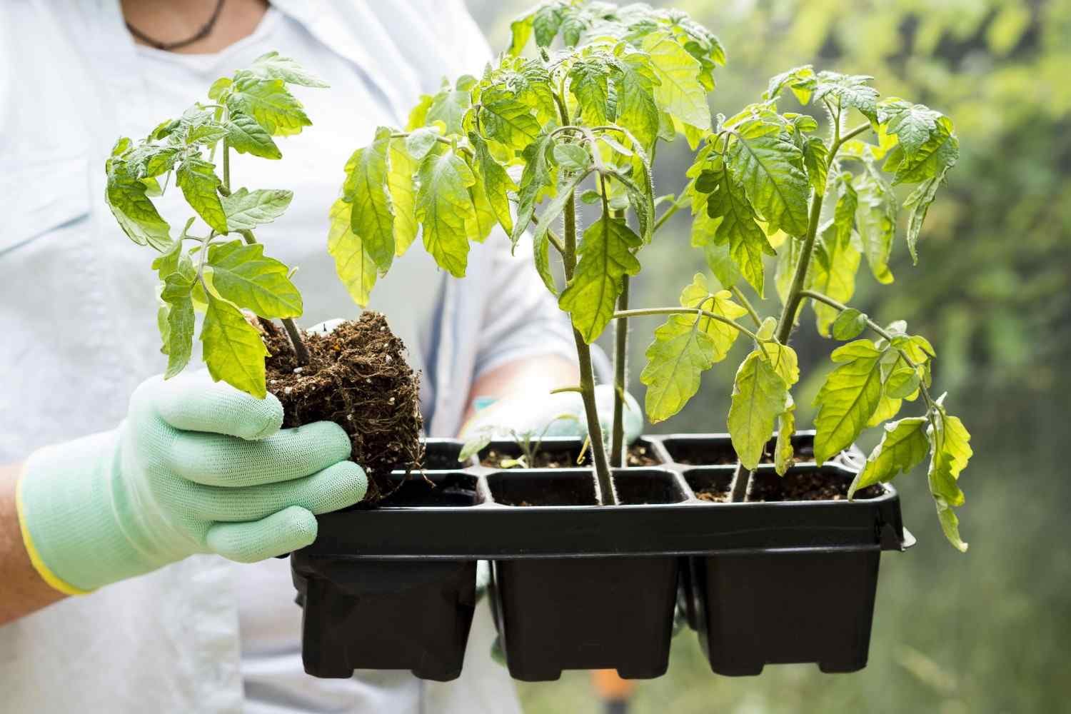 What Size Container Do You Actually Need?