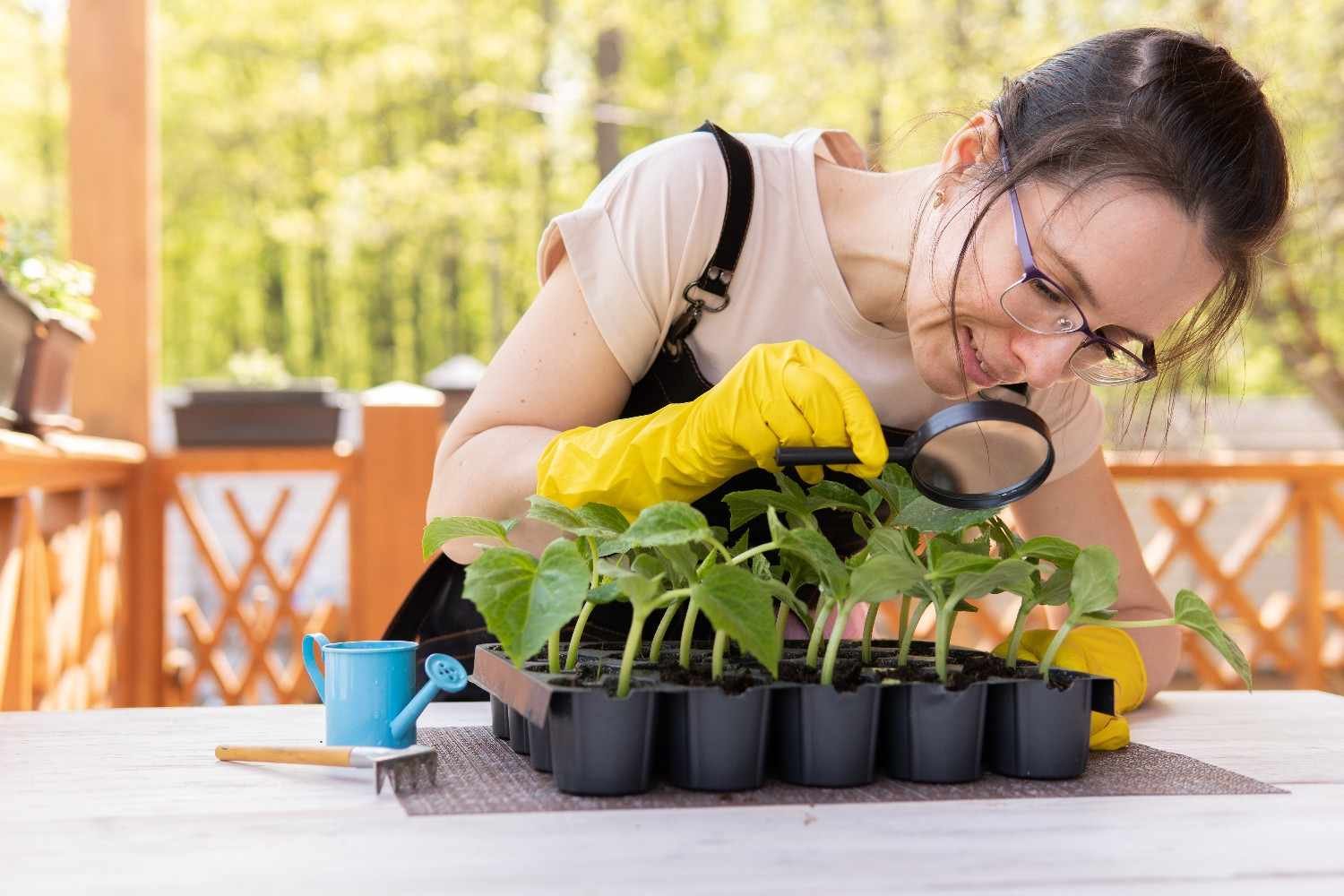 How Do You Choose the Right Garden Location as a Beginner?