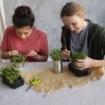 Best herbs to grow at home