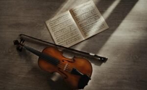 The Hidden Role of Bow Quality in Overall Violin Sound